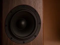 truune Eighty 80 Camel