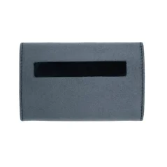 iFi audio xDSD Gryphon case