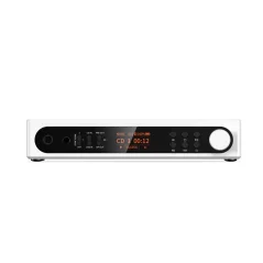 FiiO DM15 R2R Biela