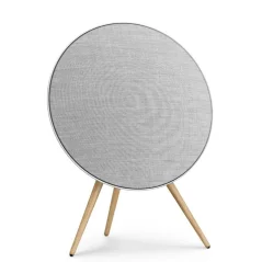 Bang & Olufsen Beosound A9 5th Gen Natural Aluminium