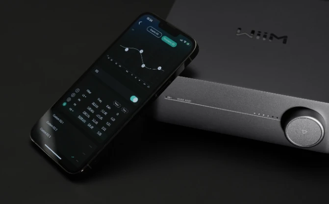 WiiM Amp (vystavený demo kus)  Šedá