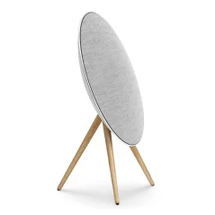 Bang & Olufsen Beosound A9 5th Gen Natural Aluminium