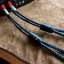 SVS SoundPath Ultra Bi-Wire Speaker Cable 6m