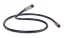 QED REFERENCE DIGITAL AUDIO 40 1m