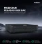 Musician Audio Pegasus II R2R DAC Strieborná