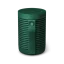 Bang & Olufsen Beosound Explore Green