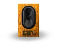 2A acoustic RSB-6 Palisander F4