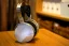 HiFiMAN Isvarna