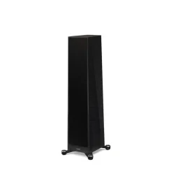Paradigm Founder 80F Black Walnut