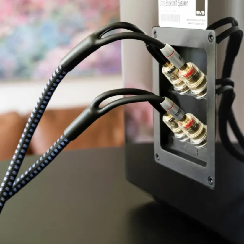 SVS SoundPath Ultra Bi-Wire Speaker Cable 6m