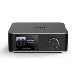 WiiM Ultra + Vibelink Amp Šedá
