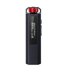 FiiO ECHO Nano Čierna