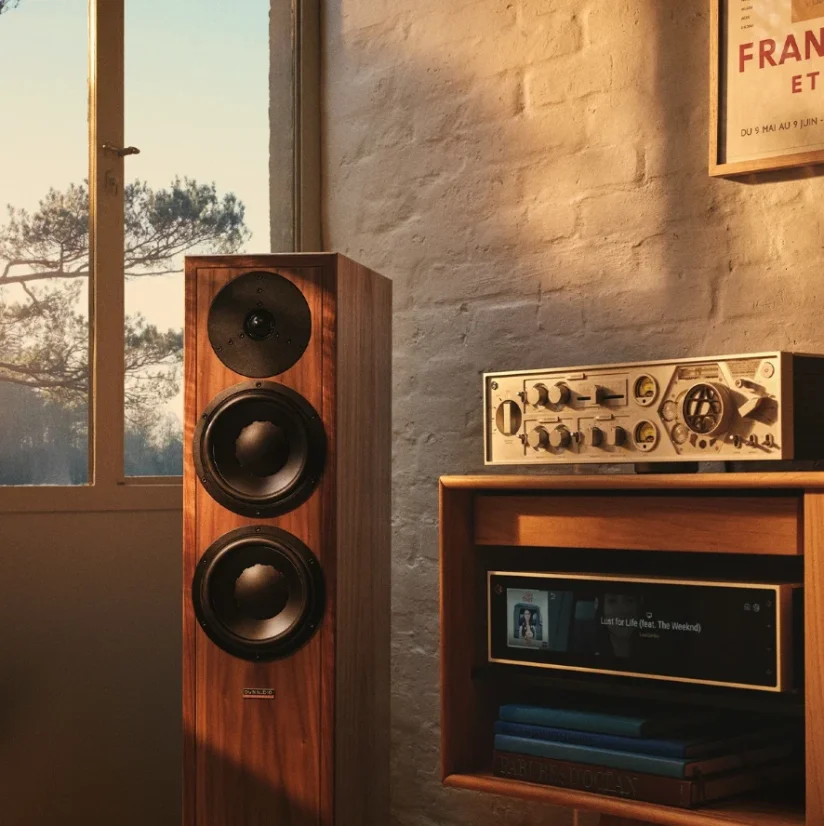 Dynaudio Contour Legacy Americký orech