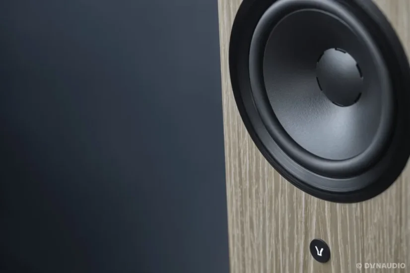 Dynaudio Focus 30  Svetlé drevo