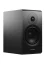Dynaudio Emit 20 Čierny saténový lak