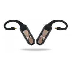 iFi audio Go pod