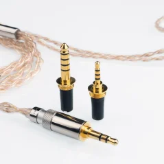 FiiO LC-RE Pro 2022