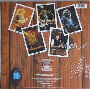 VINYL AC/DC Fly On The Wall