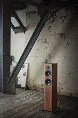 Dynaudio Evoke 30 Walnut Wood