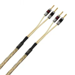 QED 50 Golden Anniversary XT 2m