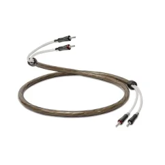 QED SUPREMUS Zr  2.5m