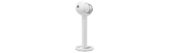 Devialet Tree Matte White 