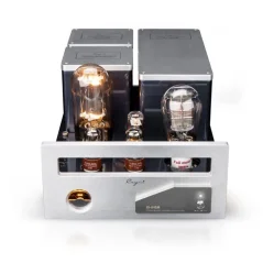 Cayin CS-845M