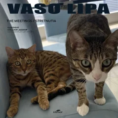 VINYL Vaso Lipa - The Meetings / Stretnutia LP