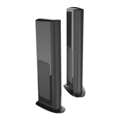 GoldenEar Triton One.R