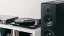 Dynaudio Emit 50 (Rozbalené / 100% stav, / 2 roky záruka) ORECH
