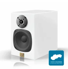 2A acoustic PB-6  Biela