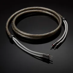 QED SUPREMUS Zr  2.5m
