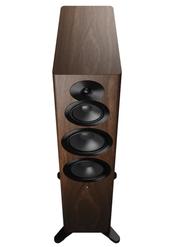 Dynaudio Focus 50  Walnut Wood