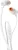 JBL T110 White