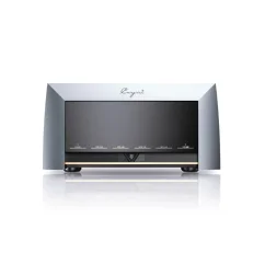Cayin M-845D
