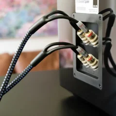 SVS SoundPath Ultra Bi-Wire Speaker Cable 3m