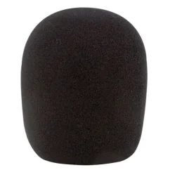 DAP DWB-01 Windscreen