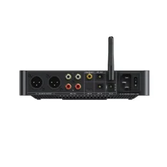 FiiO BR15 R2R Black