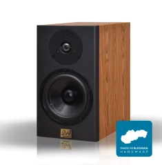 2A acoustic DS-6 Palisander F4