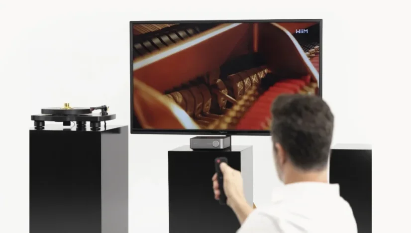 WiiM Amp (vystavený demo kus)  Šedá